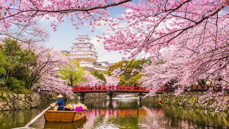 Comida de Rua no Japão: Onde Provar os Melhores Pratos Por Menos de ¥500