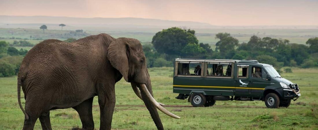 Quanto Custa Viajar para o Quênia? Guia Completo com Gastos e Dicas