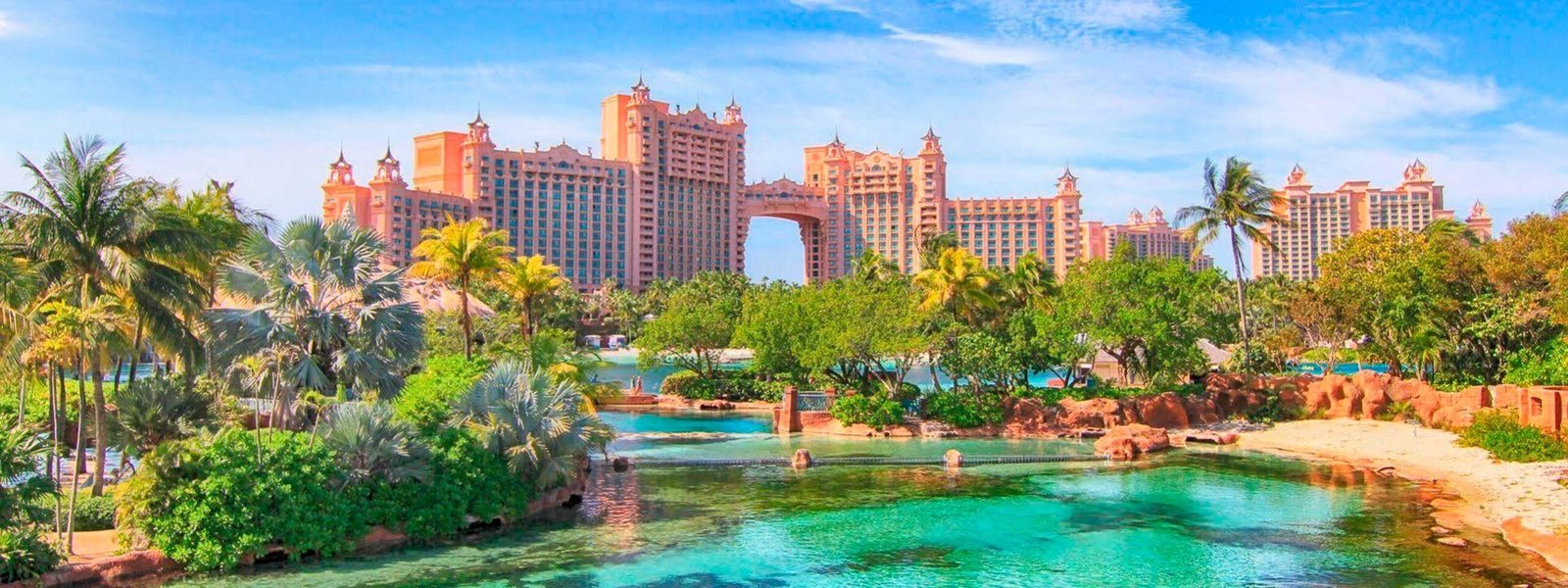 Mergulho nas Bahamas: Os Melhores Spots para Nadar com Golfinhos, Tubarões e Navios Naufragados