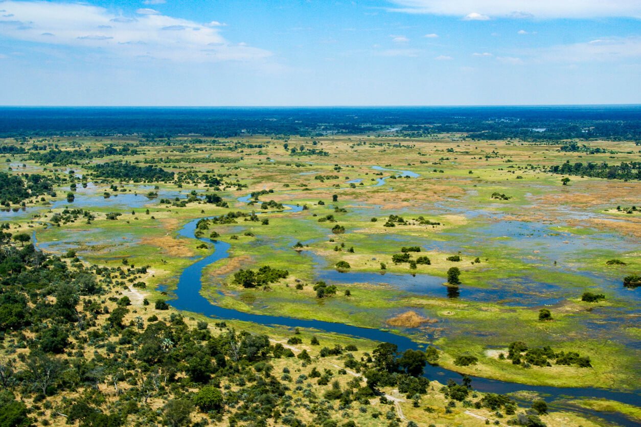 Delta do Okavango: Tudo o que Você Precisa Saber Sobre o Maior Delta Interior do Mundo