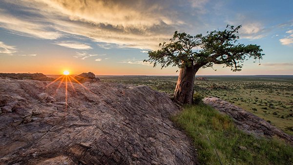 Botswana: Roteiro Completo para uma Viagem Inesquecível pelo Paraíso Africano
