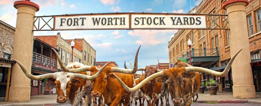 Roteiro de 7 Dias no Texas: Do Deserto ao Cowboy, o Melhor do Lone Star State