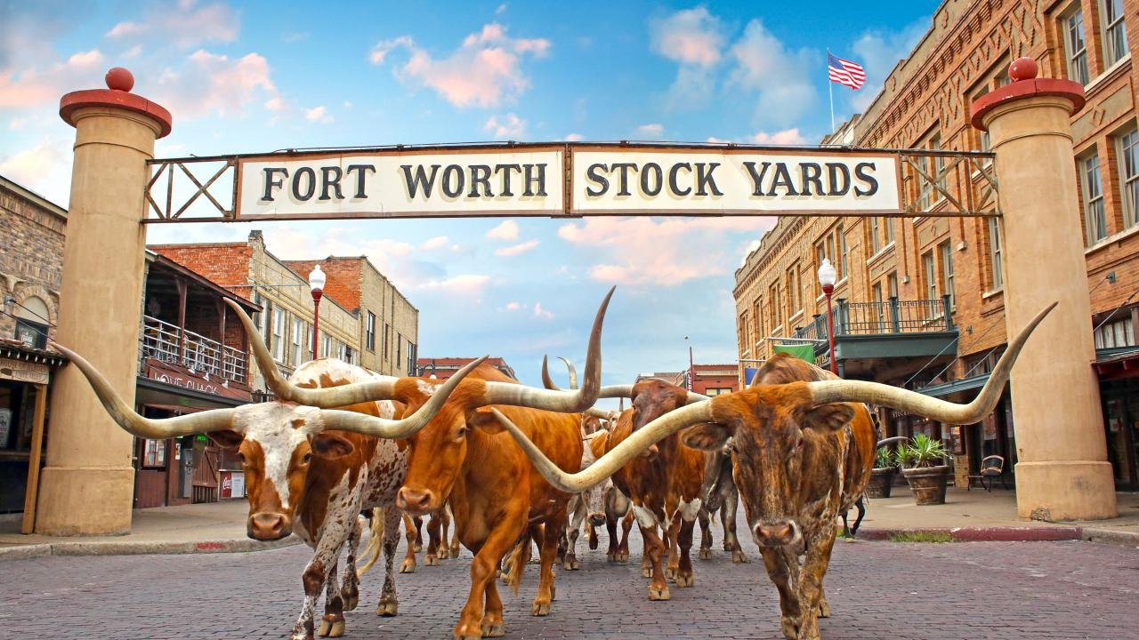Roteiro de 7 Dias no Texas: Do Deserto ao Cowboy, o Melhor do Lone Star State