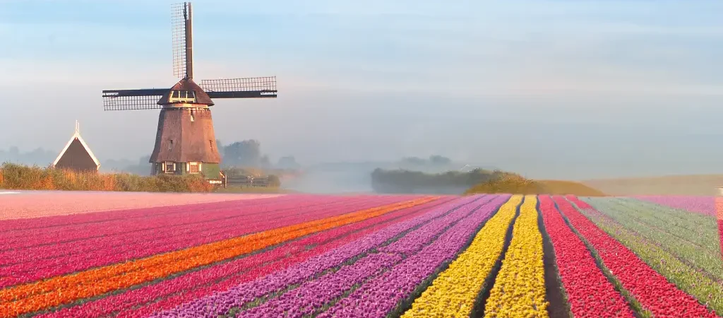 Além de Amsterdã: 7 Cidades Encantadoras da Holanda que Você Precisa Conhecer