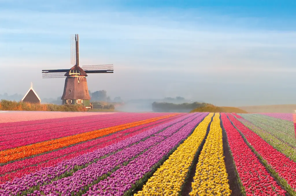 Além de Amsterdã: 7 Cidades Encantadoras da Holanda que Você Precisa Conhecer