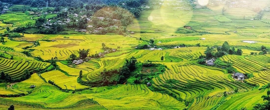 Viagem em Família ao Vietnã: Roteiro Seguro com Crianças (Parques, Praias e Atividades para Todos)