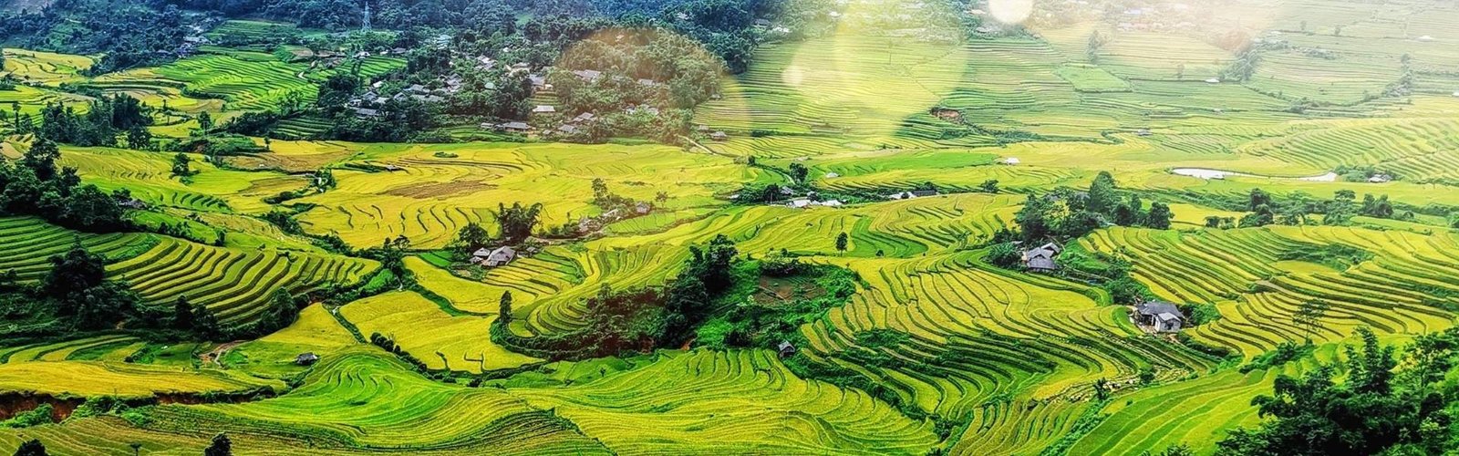 Viagem em Família ao Vietnã: Roteiro Seguro com Crianças (Parques, Praias e Atividades para Todos)