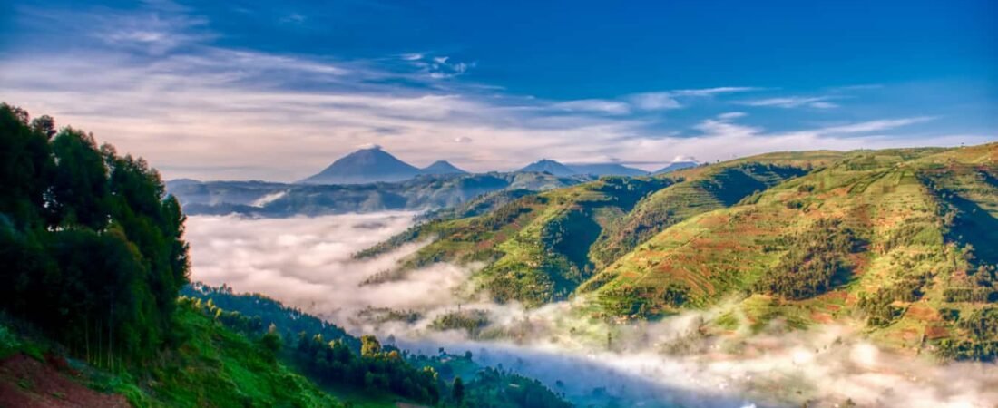 Quando Ir para Uganda: Melhores Épocas para Safari, Gorilla Trekking e Clima Ideal