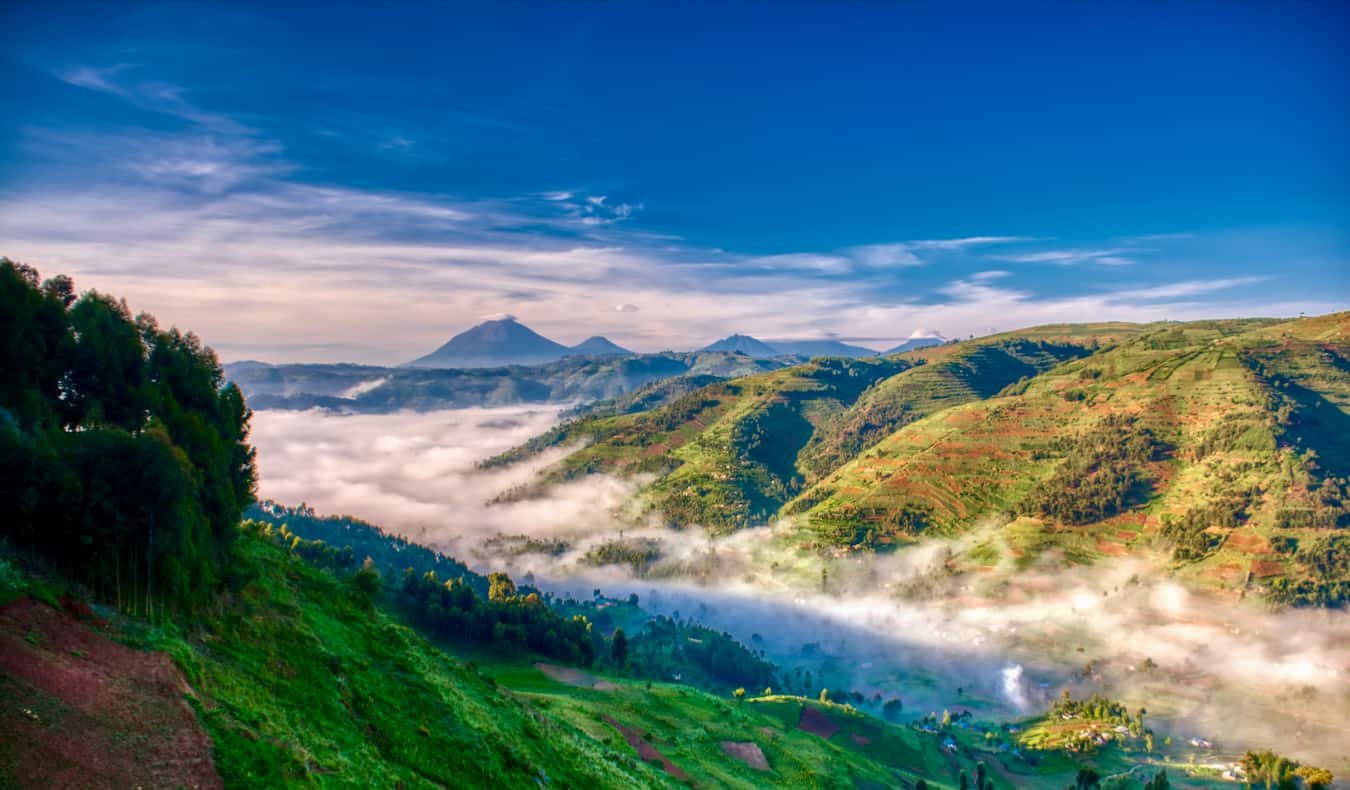 Quando Ir para Uganda: Melhores Épocas para Safari, Gorilla Trekking e Clima Ideal