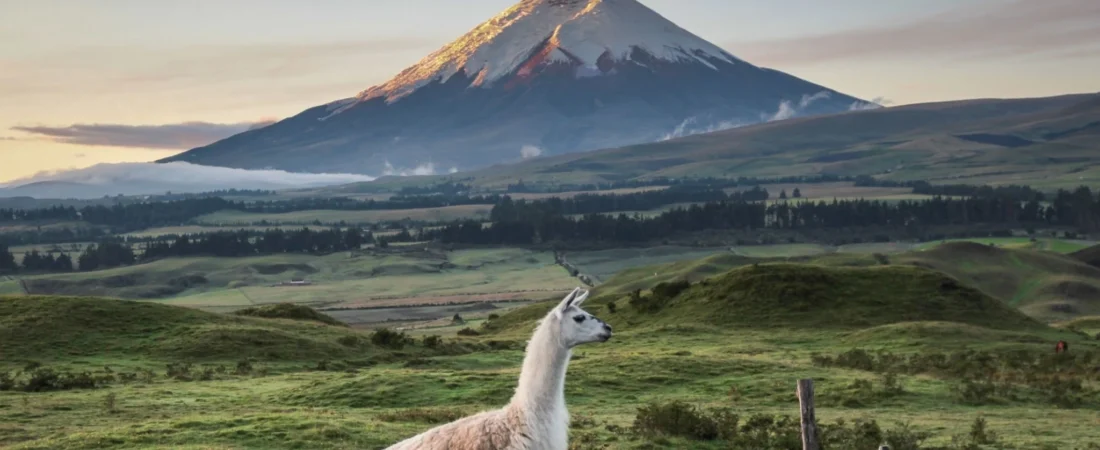 Roteiro de 10 Dias no Equador: Da Capital Quito ao Encanto das Montanhas Andinas