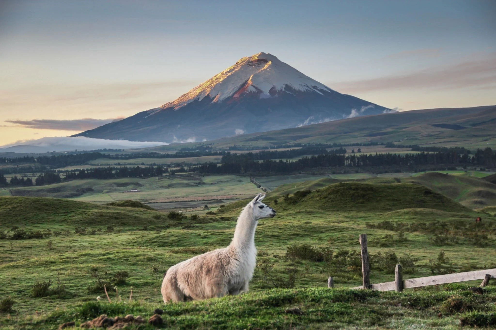 Roteiro de 10 Dias no Equador: Da Capital Quito ao Encanto das Montanhas Andinas