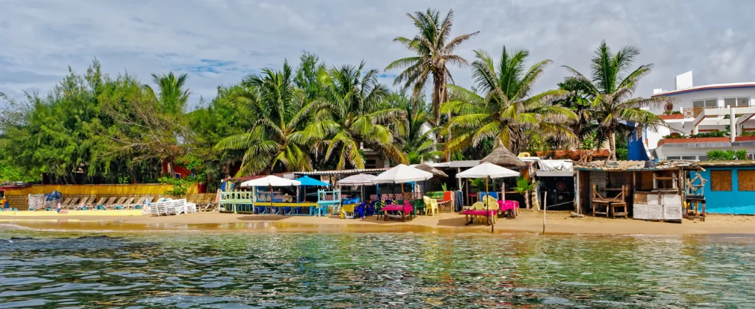 🍲 Comida Senegalense: Onde Provar Pratos como Thieboudienne e Yassa com Autenticidade