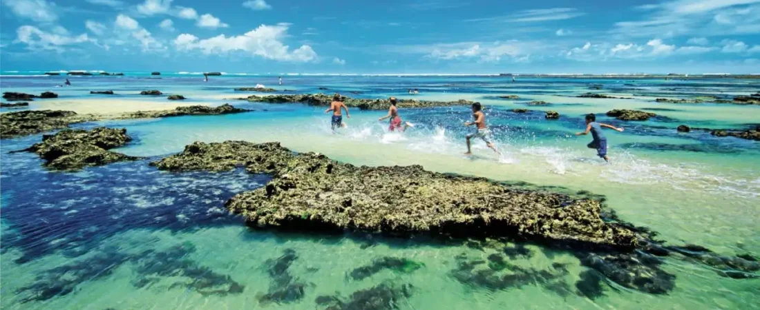 Guia Completo da Serra da Canastra (MG) em 2025: cachoeiras, trilhas e queijo artesanal em um dos paraísos naturais do Brasil