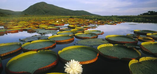 Guia Completo de Ouro Preto (MG): o que fazer, onde ficar e quanto custa