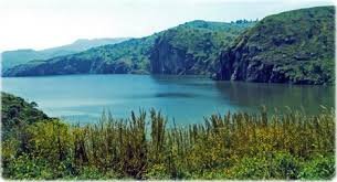 Parques Nacionais de Camarões: Safáris em Waza e Aventuras na Floresta de Dja