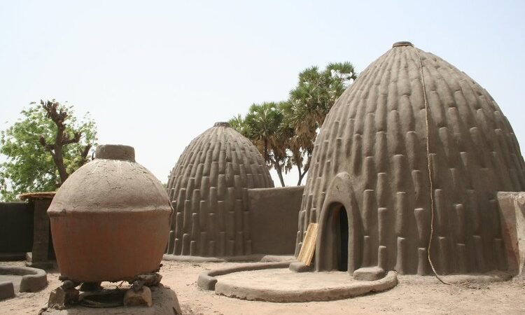 Roteiro em Camarões: Como Explorar a Diversidade do País em 2 Semanas (Selva, Savana e Cultura)