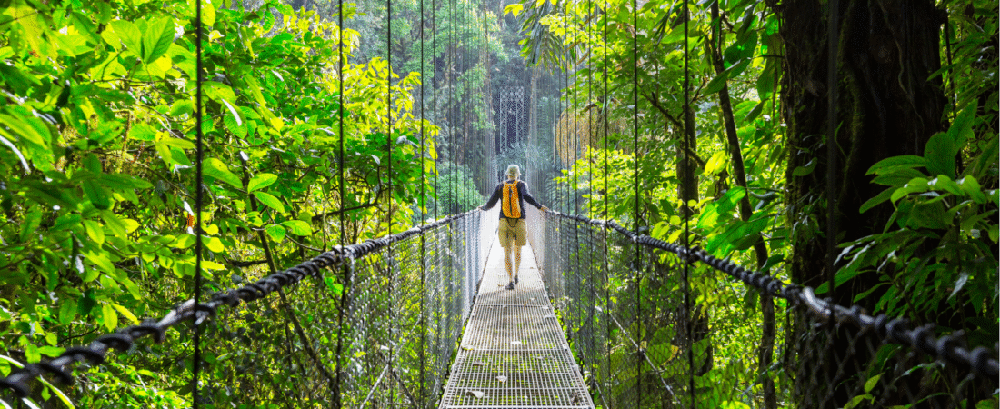 Ecoturismo na Costa Rica: Parques Nacionais, Observação de Fauna e Aventuras Sustentáveis