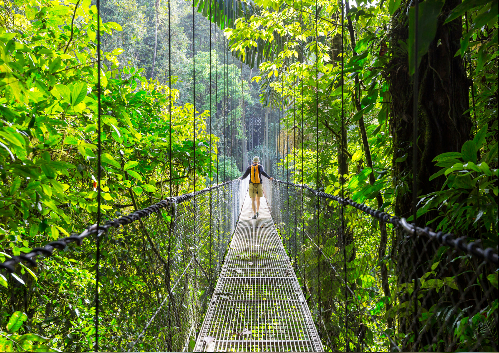 Ecoturismo na Costa Rica: Parques Nacionais, Observação de Fauna e Aventuras Sustentáveis