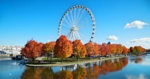 Gastronomia em Montreal: Onde Comer Poutine, Bagels e Pratos da Culinária Quebequense