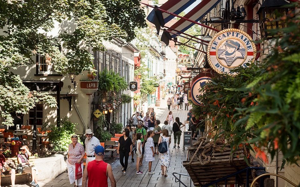 Quebec no Inverno: O Que Fazer na Neve, Festival de Inverno e Dicas de Sobrevivência