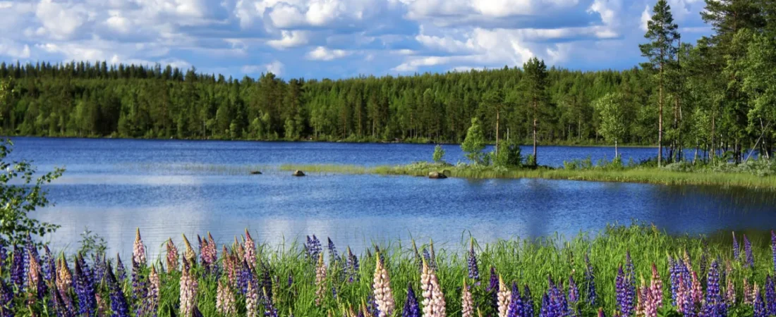 Natureza na Suécia: Trilhas, Parques Nacionais e Cabanas no Wilderness